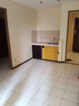 Apartment Palm Mansion (1 BR)