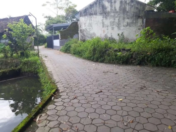 Pekarangan dkt filosofi kopi