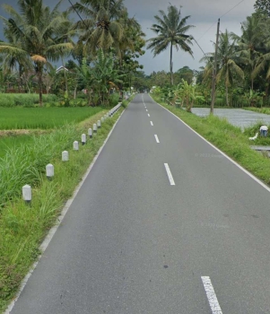 Dijual Tanah Murah Meriah Dekat UII Pusat di Umbulmartani, Sleman