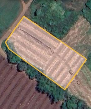 tanah strategis 1 juta/ mtr karang ploso