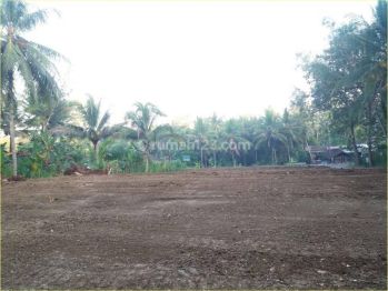 SHM Pekarangan, Spot Hunian di Nanggulan Jogja, Sejuk Asri