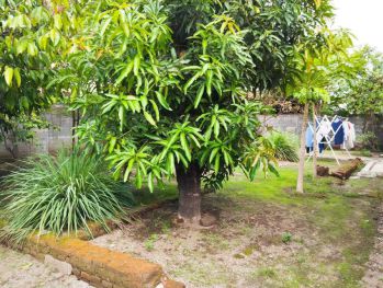 Tanah Dijual Nogotirto, Dekat Jl Godean Dalam Ringroad, Siap AJB.