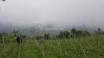 Di jual tanah Luas 4,4ha surat shm harga 350rb/m mdpl 900