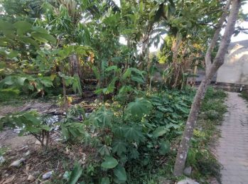 Dijual Tanah Murah Dekat Unila