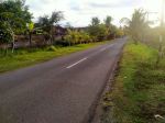 thumbnail-tanah-34-are-pinggir-jalan-utama-nakula-tegal-badeng-barat-jembrana-1