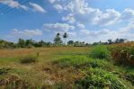 thumbnail-dijual-tanah-strategis-view-sawah-area-jln-kaliurang-km10-ngagik-3