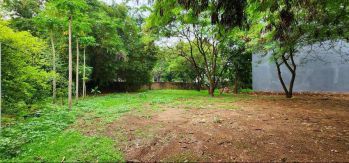 Tanah Strategis di Jalan Gaharu, Cilandak Jakarta Selatan SHMH