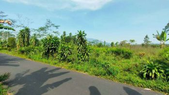 Tanah Pemandangan Bagus Pinggir Jalan Dijual Murah di Purwakarta