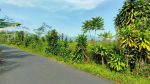 thumbnail-tanah-pemandangan-bagus-pinggir-jalan-dijual-murah-di-purwakarta-2