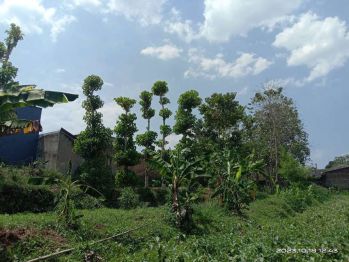 Tanah Depan Mall Pelayanan Publik Cimahi