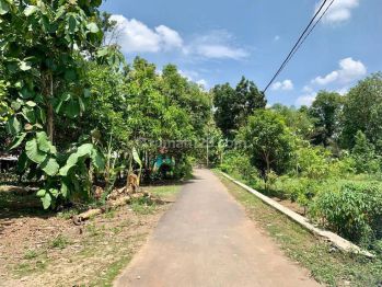 Tanah di Dekat Agrowisata Pangkah, Tegal