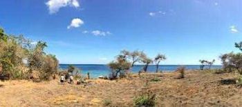 Dijual Tanah Pinggir Pantai Pasir Putih Di Pulau Moyo Sumbawa