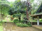 thumbnail-jual-tanah-pohon-buah2-an-dan-villa-di-ciater-11