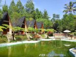 thumbnail-jual-tanah-pohon-buah2-an-dan-villa-di-ciater-8