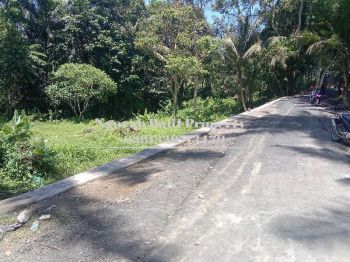 Dijual Tanah Murah Luas Tanah 10 Are View Sawah dan Hutan di Ubud