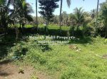 thumbnail-dijual-tanah-murah-luas-tanah-10-are-view-sawah-dan-hutan-di-ubud-3