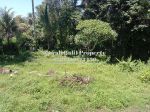 thumbnail-dijual-tanah-murah-luas-tanah-10-are-view-sawah-dan-hutan-di-ubud-1