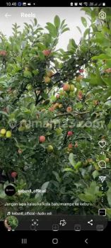 Tanah di Jual di Jl.raya Berantas Kota Batu Malang, Malang