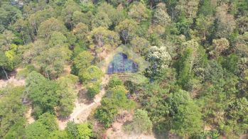 Jual Tanah ada Pohon Durian di Jl Sayar, Taktakan, Kota Serang, Banten