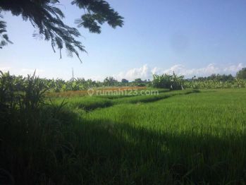 Hot List Di Jual Tanah Premium Lokasi Seminyak Kuta Badung