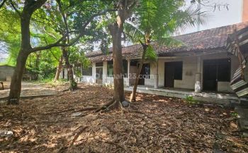 Tanah cendrawasih petitenget kerobokan