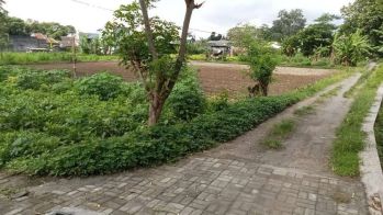 Tanah shmp murah di Wedomartani