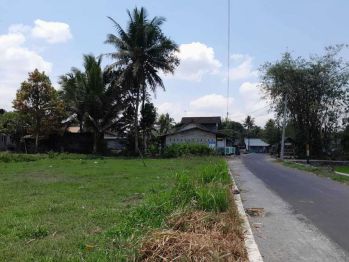 Area Wisata Candi Borobudur, Tanah Magelang 200 Juta-an SHMP