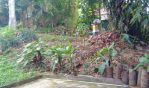 thumbnail-tanah-bonus-bangunan-villa-ubud-di-penestanan-3