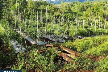 Tanah Siap Bangun Dekat Tempat Wisata di Jalibar Batu