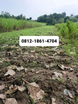 Dijual cash tanah sawah murah no 2 dr jalan raya pangkah among dwijo