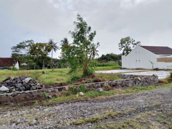 Tanah Murah View Sawah di Jl. Kaliurang Km. 10 Jogja