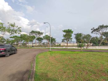 Fedora Suvarna Sutera