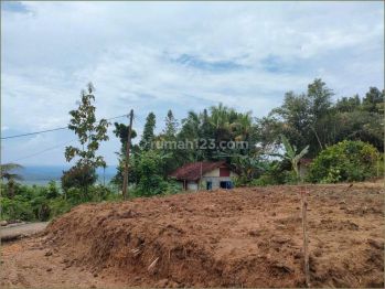 80 M Kopi Ampirono Jogja, Tanah Cocok Villa Siap Balik Nama