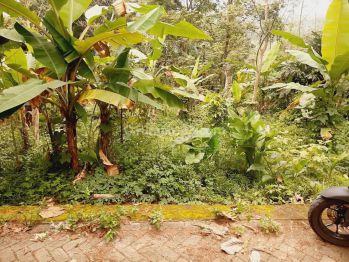 Dijual Tanah SHM Nempel Jalan di Gedawang Banyumanik Semarang