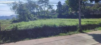 Tanah lahan sawah kebun rumah ruko apartemen Shm 4000m²