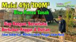 thumbnail-tanah-200-m2-dijual-200-jtaan-siap-bangun-villa-berwisata-berkebun-8