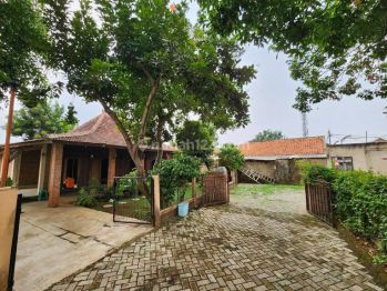 Sell Rumah: Rumah Jawa Klasik
