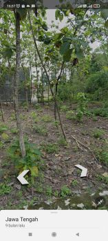Jual tanah luas 417 m²