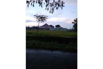 Dijual Tanah zona merah luas 5 hektar lokasi klaten