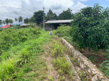 (NEGO) Dijual Tanah Kavling Siap Bangun (SHM) di Hajimena