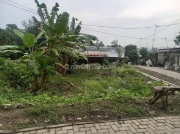 Tanah Murah di Sukorejo Gunungpati, Dekat Greenwood Waterpark