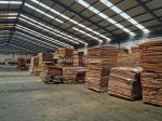 thumbnail-penjual-asli-pt-pabrik-kayu-aktif-all-in-siap-ekspor-5