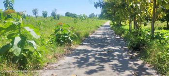 Dijual Murah Area Kota Tambolaka Sumba Barat Daya