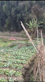 DIJUAL TANAH POTENSIAL DI LEBAK MUNCANG CIWIDEY