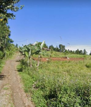 Di jual tanah tajur halang Cijeruk Bogor