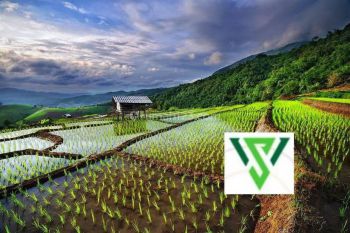 Tanah kavling murah 15jt/m bukit telaga golf Citraland