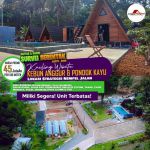 thumbnail-tanah-kebun-murah-di-bogor-legalitas-lengkap-8