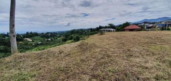 TANAH VIEW GUNUNG GEDE