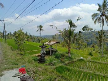 Dijual Tanah Payangan Ubud Bali Pinggir Jalan View Sungai Sawah Jungle