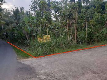 Dijual Cepat Tanah Hook 1626 Area Argomulyo Sedayu Bantul Yogyakarta
